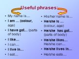 Useful phrases: My name is… I am … (colour, age) I have got… (parts of body) I like… I can… I live in… I eat…. His/her name is… He/she is … (colour, age) He/she has got… (parts of body) He/she likes… He/she can… He/she lives in… He/she eats…