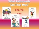 What Instruments Can They Play? She/he can
