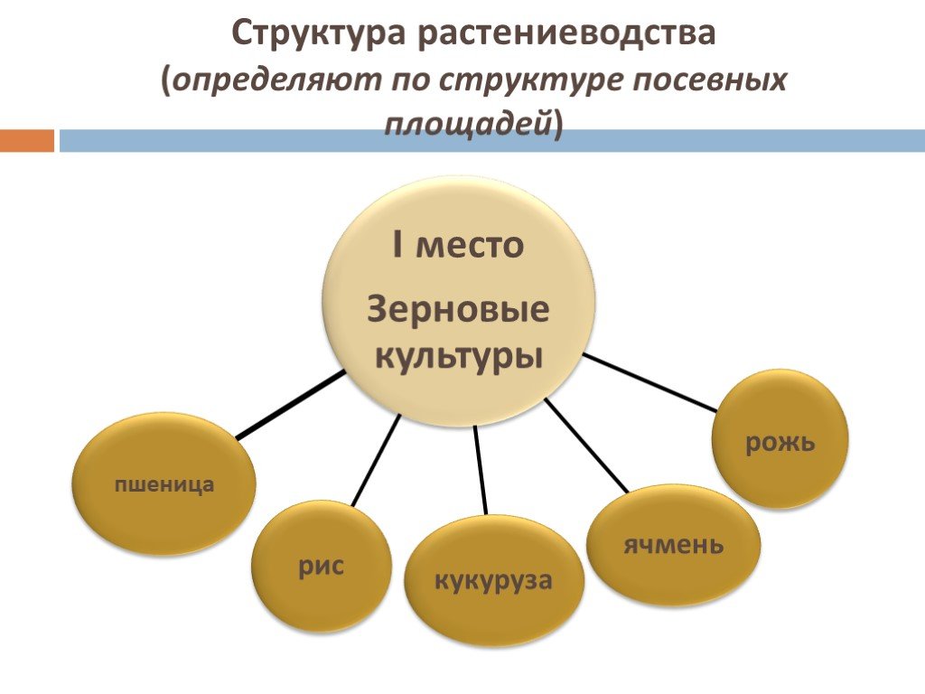 Структура растениеводства. Отраслевая структура растениеводства. Состав отрасли растениеводства. Структура растениеводства в России.