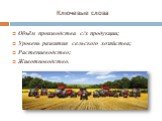 Ключевые слова. Объём производства с/х продукции; Уровень развития сельского хозяйства; Растениеводство; Животноводство.