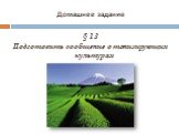 Домашнее задание. § 13 Подготовить сообщение о тонизирующих культурах