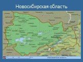 Новосибирская область