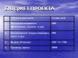 БЮДЖЕТ ПРОЕКТА