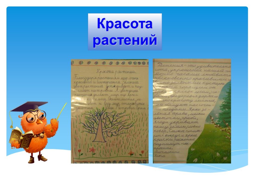 Рассказ о красоте родного. Раскрас о красоте растений. Рассказ о красотерасткний. Рассказ о красоте растений. Рассказ о красоте растений родного края.