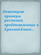 Некоторые примеры растений, представленных в Красной Книге…