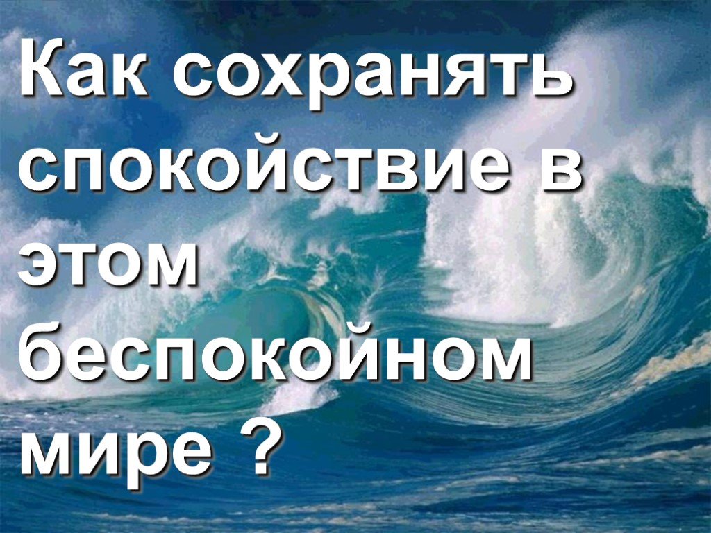 Господа ваше спокойствие оскорбляет чувства паникующих картинка