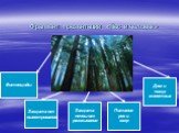 Фрагмент презентации «Лес и человек». Фитонциды. Защита от выветривания. Защита почвы от размывания. Питание рек и озер. Дом и пища животных