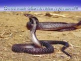 Опасные обитатели пустынь!!! Локомоция. Принято считать, что змеи очень быстро ползают, но внимательные наблюдения доказывают обратное. Хорошая скорость для крупной змеи примерно такая же, как у пешехода, а большинство видов передвигаются медленнее. Максимальная для этих рептилий скорость, и то на к