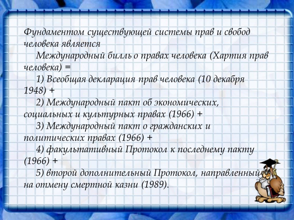 Международный билль о правах человека схема