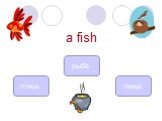 a fish рыба птица пища