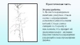 Практическая часть. Этапы работы: 1. На листе карандашом намечаем рисунок ствола сосны с определением основных самых больших ветвей. Ствол слегка смещаем в сторону и наклоняем, что придает ей движение вверх - иллюзия перспективного сокращения уходящей в высоту верхушки дерева.