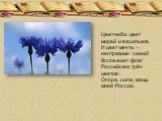 Цвет неба, цвет морей и васильков, И цвет мечты – неотразимо синий! Всплывает флаг Российских трёх цветов: Опора, сила, мощь моей России.