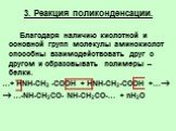 3. Реакция поликонденсации. Благодаря наличию кислотной и основной групп молекулы аминокислот способны взаимодействовать друг с другом и образовывать полимеры – белки. …+ HNH-CH2 -COOH + HNH-CH2-COOH +…  …-NH-CH2CO- NH-CH2CO-… + nH2O
