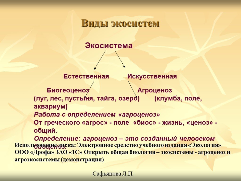 Виды экосистем. Виды естественных экосистем. Виды экологических систем. Структура биогеоценоза и агроценоза.