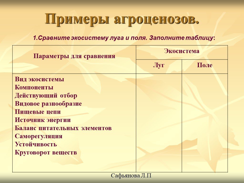 B сравните эти экосистемы по плану