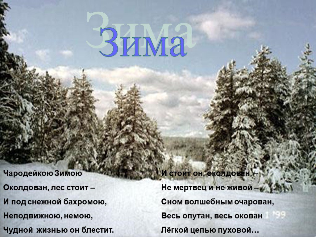 Презентация тютчев чародейкою зимою. Тютчев Чародейкою зимою. Тютчев околдован лес стоит. Чародейка зима Тютчев. Чародейкою зимою околдован лес стоит и под снежную бахрому.