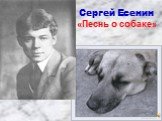 Сергей Есенин «Песнь о собаке»