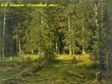 И.И. Шишкин «Сосновый лес»