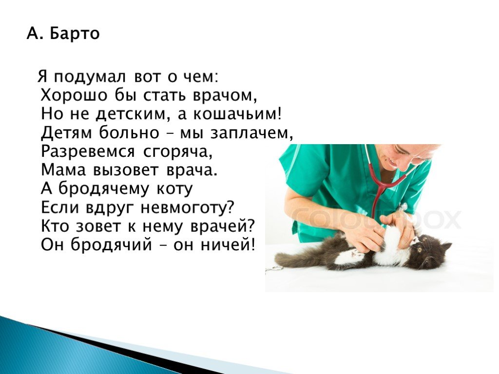 Почему я хочу стать ветеринаром. Стих про ветеринара. Стихи про ветеринарного врача. Стих про ветеринара для детей короткие. Загадка про ветеринара.