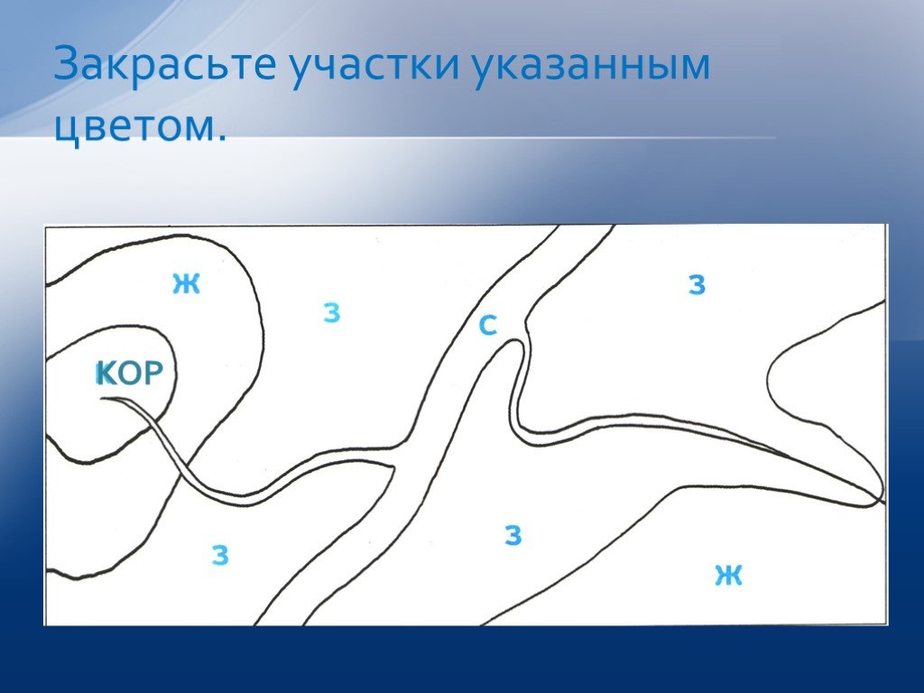 Укажите тон. Закрасьте. Закрашенный участок. Закрась участки тела. Укажи участки.