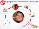 Формирование никотиновой зависимости