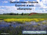 Экосистемы болота. Болото и его обитатели. Урок окружающего мира в 3 классе по программе «2100»