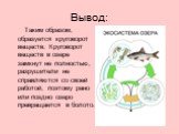 Вывод: Таким образом, образуется круговорот веществ. Круговорот веществ в озере замкнут не полностью, разрушители не справляются со своей работой, поэтому рано или поздно озеро превращается в болото.