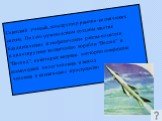 Советский ученый, конструктор ракетно-космических систем. Под его руководством созданы многие баллистические и геофизические ракеты-носители и пилотируемые космические корабли “Восток” и “Восход”, на которых впервые в истории совершены космический полет человека и выход человека в космическое простр