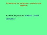 За кем по улицам «толпа зевак ходила»?