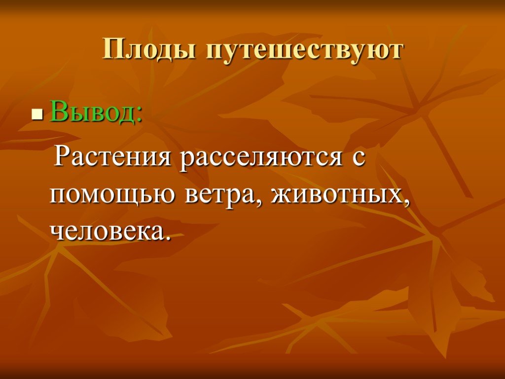 Растения и человек 3 класс. Плоды путешествуют. Растения путешествуют. Плоды путешествуют 3 класс. Плоды путешествуют 3 класс окружающий мир.