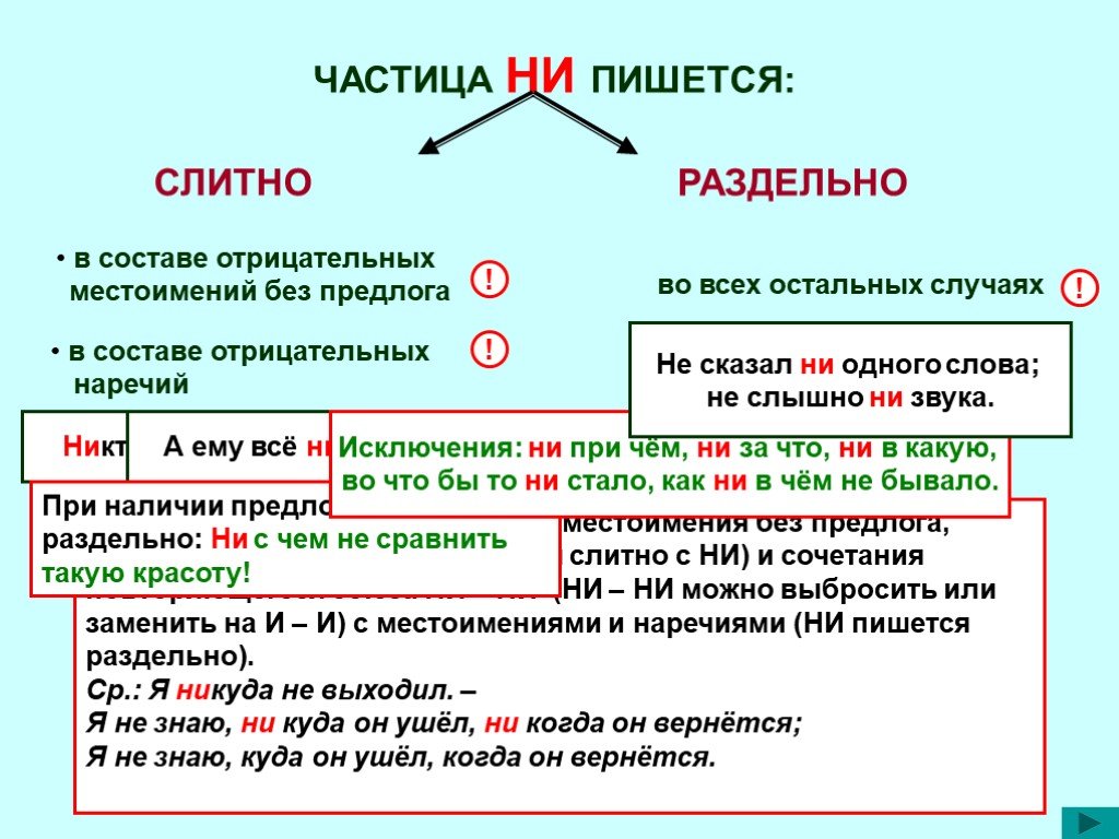 Презентация частица ни