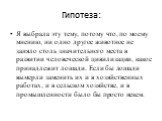 Гипотеза: Я выбрала эту тему, потому что, по моему мнению, ни одно другое животное не заняло столь значительного места в развитии человеческой цивилизации, какое принадлежит лошади. Если бы лошади вымерли заменить их и в хозяйственных работах, и в сельском хозяйстве, и в промышленности было бы прост