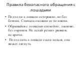 Правила безопасного обращения с лошадьми. Подходи к лошади осторожно, но без боязни. Сначала окликни ее по имени. Обращайся с лошадью спокойно, ласково, без окриков. Не делай резких рывков, не кричи. Подходить к лошади сзади нельзя, она может лягнуть