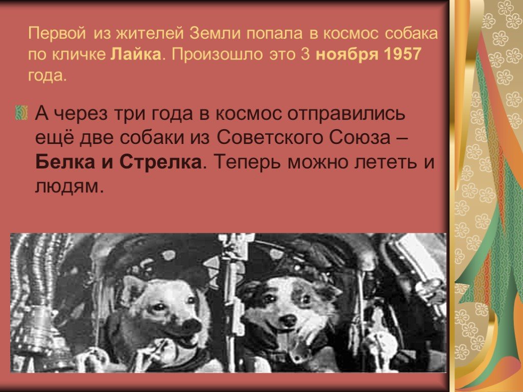 Первой собакой в космосе была. Первые собаки в космосе. Первая собака полетевшая в космос. Имя первой собаки в космосе. Имена собак летавших в космос.