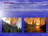 Лесной пожар – стихийное (неуправляемое) горение, распространившееся на лесную площадь, окруженную негорящей территорией. В лесную площадь, по которой распространяется пожар, входят и открытые лесные пространства. К одному пожару относится вся пройденная огнем площадь, окруженная негорящей в данный 