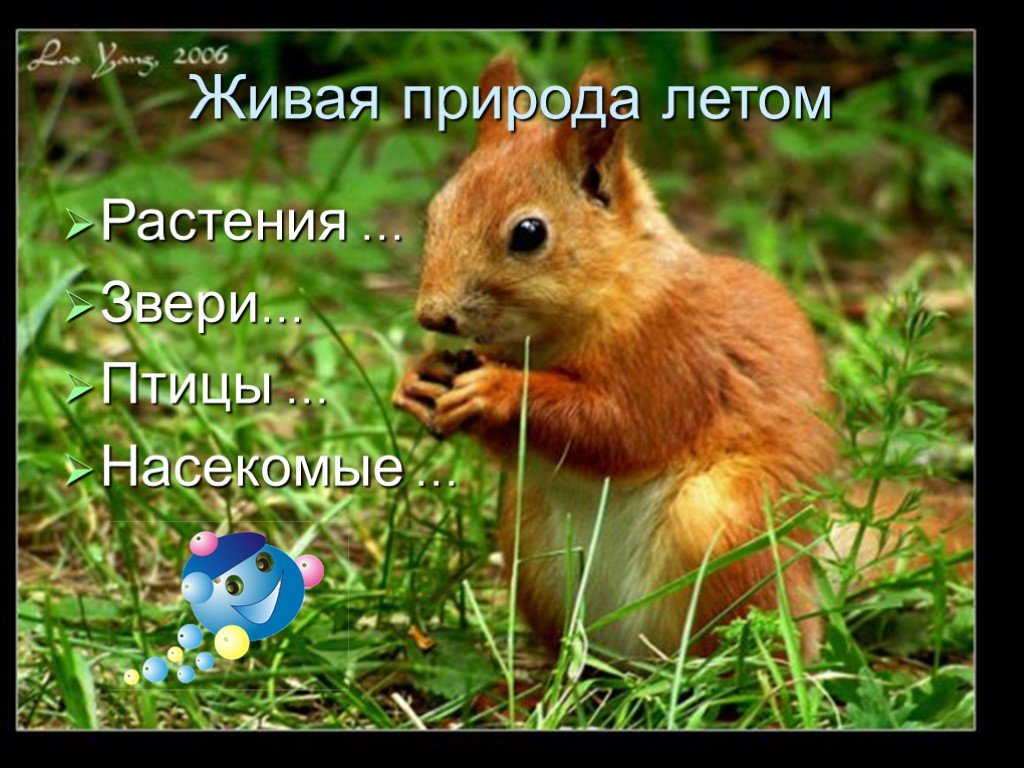 Просто живая природа. Живая природа летом примеры.