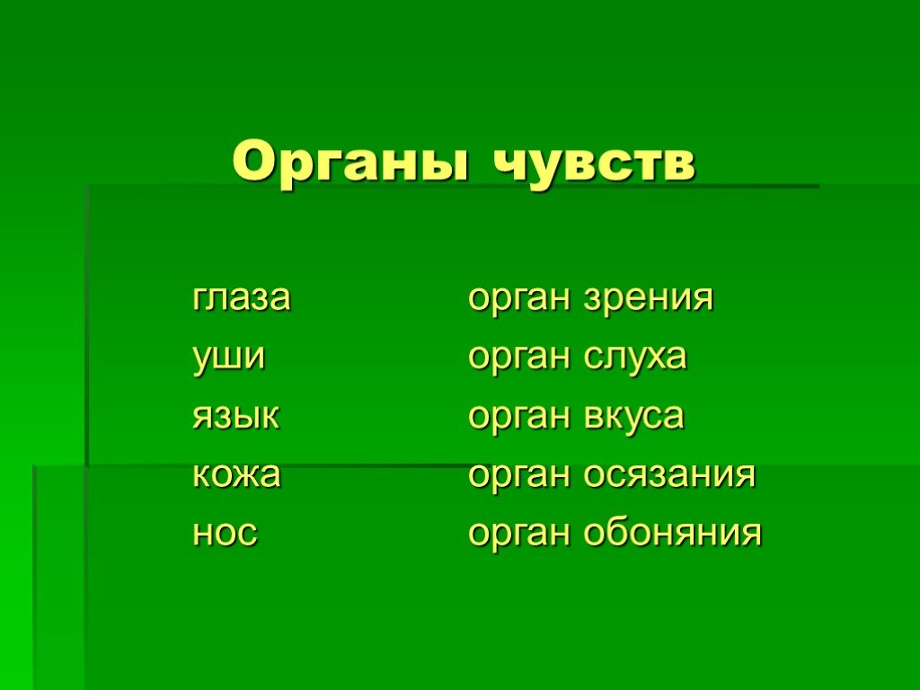 Тест по окружающему органы чувств