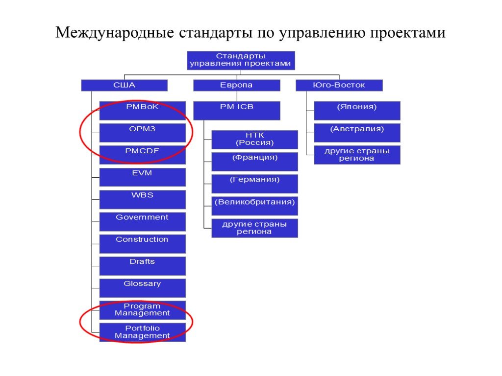 Мировой стандарт управления проектами