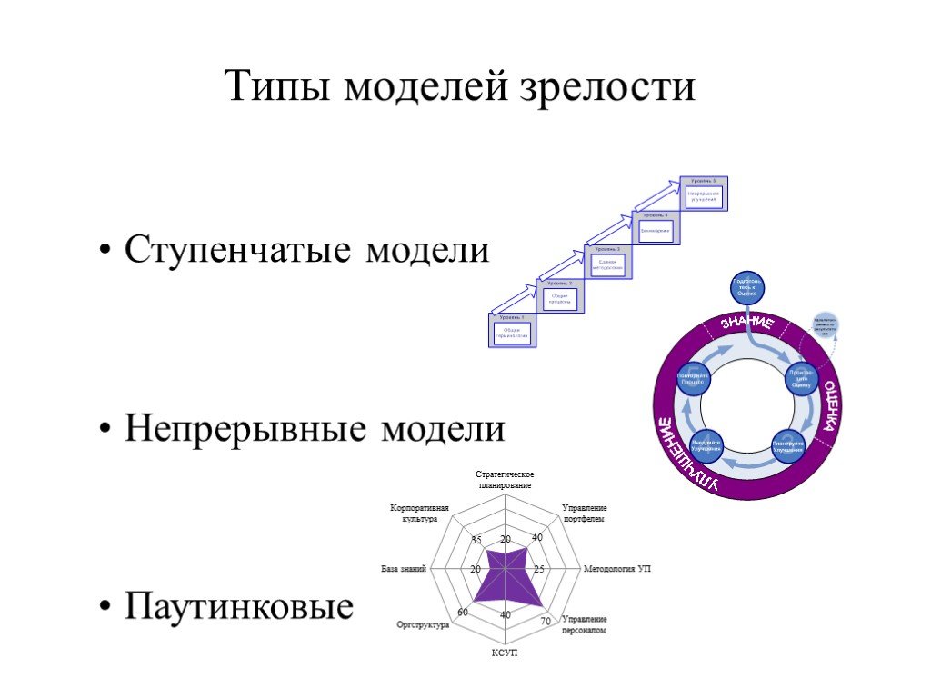 Зрелость проекта это