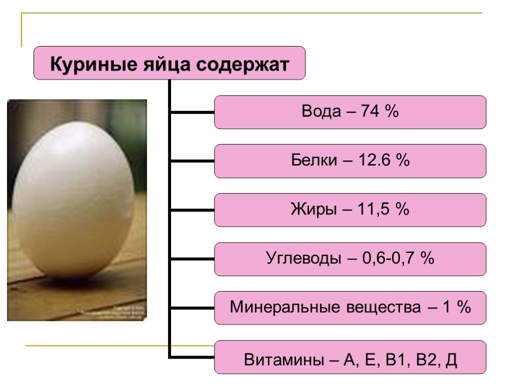 Сколько углеводов и жиров в яйце. Белок яйца. Белков в яйце. Белок куриного яйца. Белок в белке яйца.