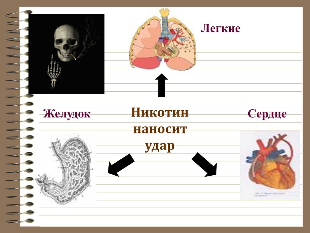 Вред никотина. Никотин вредит здоровью.