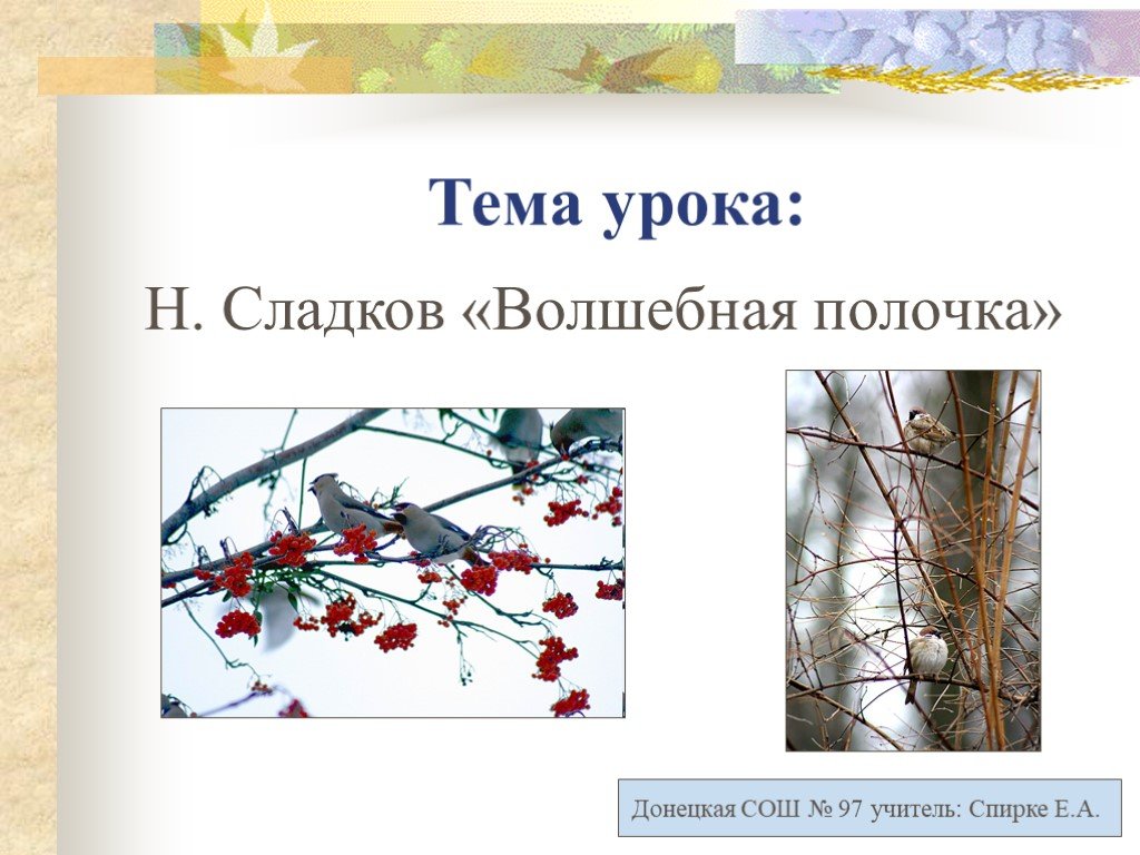 Урок чтения 2 класс презентация. Волшебная палочка Сладков. Н Сладков Волшебная палочка. Н. Сладков «Волшебная полочка». Волшебная палочка изложение 2 класс.