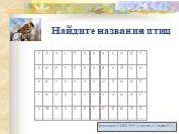 Найдите названия птиц