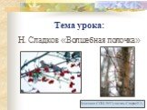 Тема урока: Н. Сладков «Волшебная полочка»