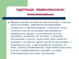 Адаптация первоклассника: Высокий уровень адаптации. Первоклассник положительно относится к школе, предъявляемые требования воспринимает адекватно; учебный материал усваивает легко; глубоко и полно овладевает программным материалом; решает усложненные задачи, прилежен, внимательно слушает указания, 