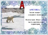 АРКТИКА- Земли вокруг северного полюса. Полуостров Ямал- это часть арктической территории. А