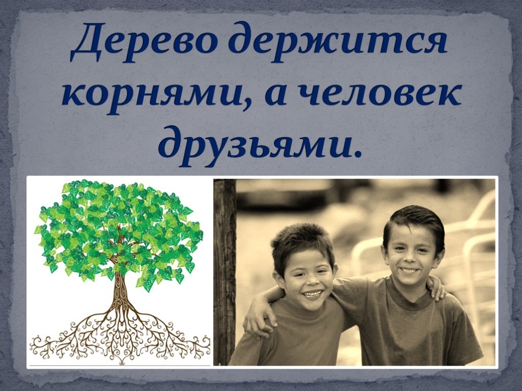 Пословица дерево живет. Дерево держится корнями а человек друзьями. Дерево держится корнями. Пословица дерево держится корнями а человек друзьями. Дерево крепко корнями а человек друзьями.