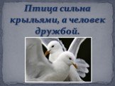 Птица сильна крыльями, а человек дружбой.