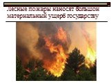 Лесные пожары наносят большой материальный ущерб государству