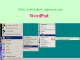 Окно текстового процессора. WordPad